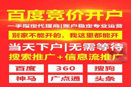 某行业领军企业的SEM广告投放策略
